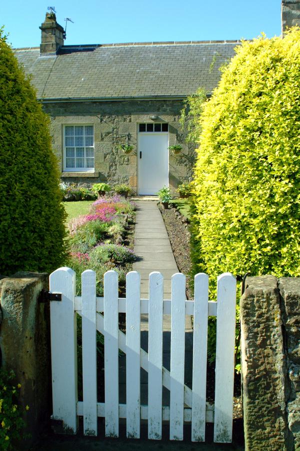 English cottage & garden