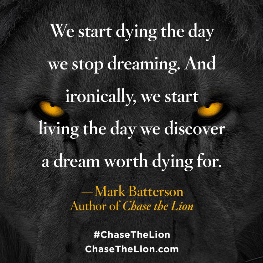 chase-the-lion_pinwords_2-1